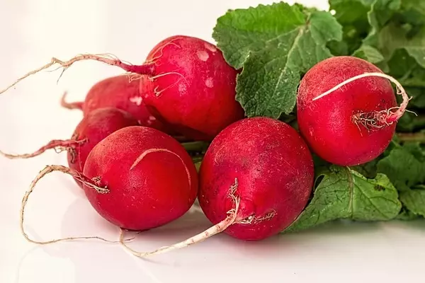 Are Radishes Good for Weight Loss